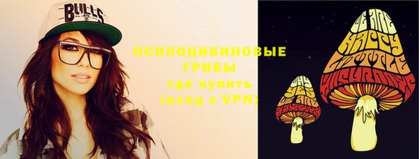 гашик Аркадак