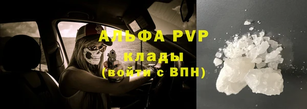 гашик Аркадак