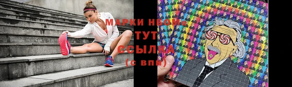 гашик Аркадак